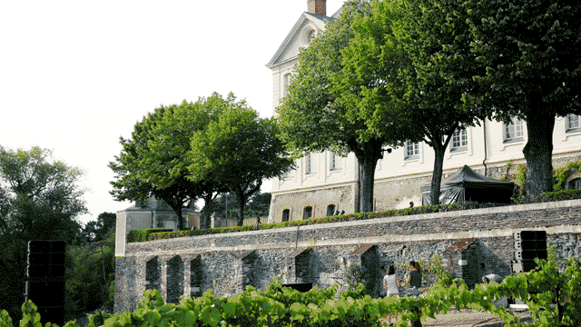 Millénaire Abbaye Saint-Nicolas, Angers, scénographie, installations numériques, Paul Chabot, Les Beaux Matins 